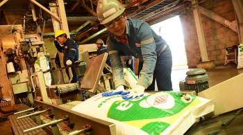 La producción de urea en Bulo Bulo se multiplica por 4