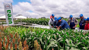 YPFB demostrará beneficios de la urea en la Feria Vidas 2019