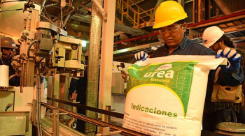 Prometen 6 plantas más como la de urea