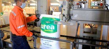 Tres factores elevarán producción de la Planta de Urea y el 93% será para exportar