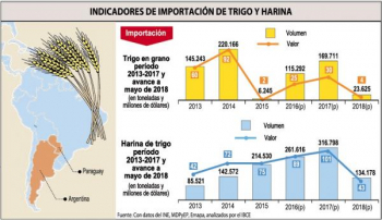 Gobierno activa programa de trigo con casi Bs 800 millones