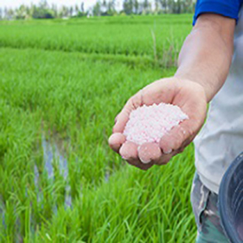 Capacitarán a productores en el manejo y uso de urea