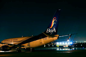 Se presume que los perros del accidente del avión de BoA ingresaron por predios de la FAB