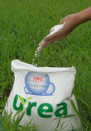 Autoridades de Perú y Bolivia alistan negociaciones para la compraventa de urea