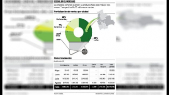 Cemento estatal cuesta menos que los demás