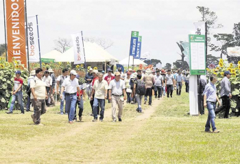 Estatal petrolera YPFB vendió urea por un valor de Bs 4,1 millones en feria Vidas