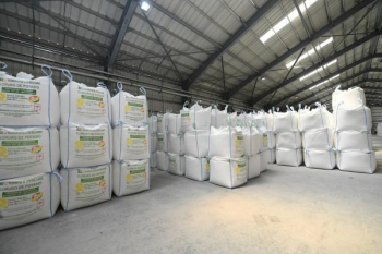 Bolivia prevé exportar 80 mil t de cloruro de potasio este año
