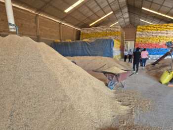 Verifican en 4 de 12 ingenios privados en Santa Cruz 55.000 toneladas de arroz, Gobierno garantiza provisión