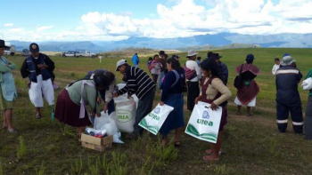 Crean plan que fomenta uso de urea y potasio en el agro